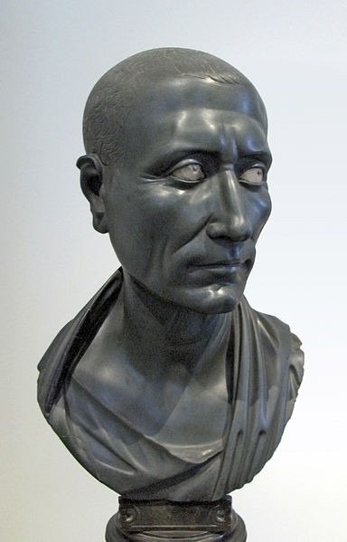 Julius Caesar Wikipedia Fake